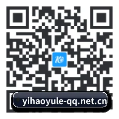 iPhone 专版 二维码